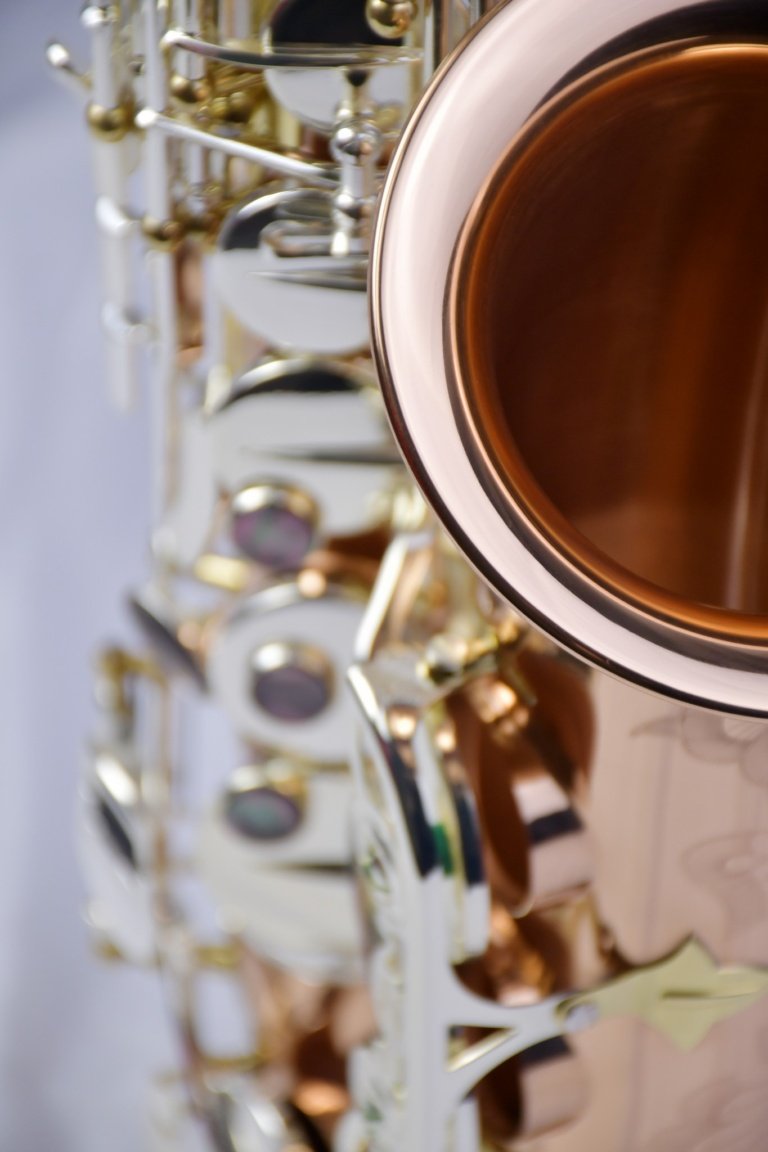 Close-up_PMSA-600 Venus_m_008